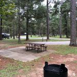 Cagle Recreation Area - New Waverly, TX - Campground Reviews